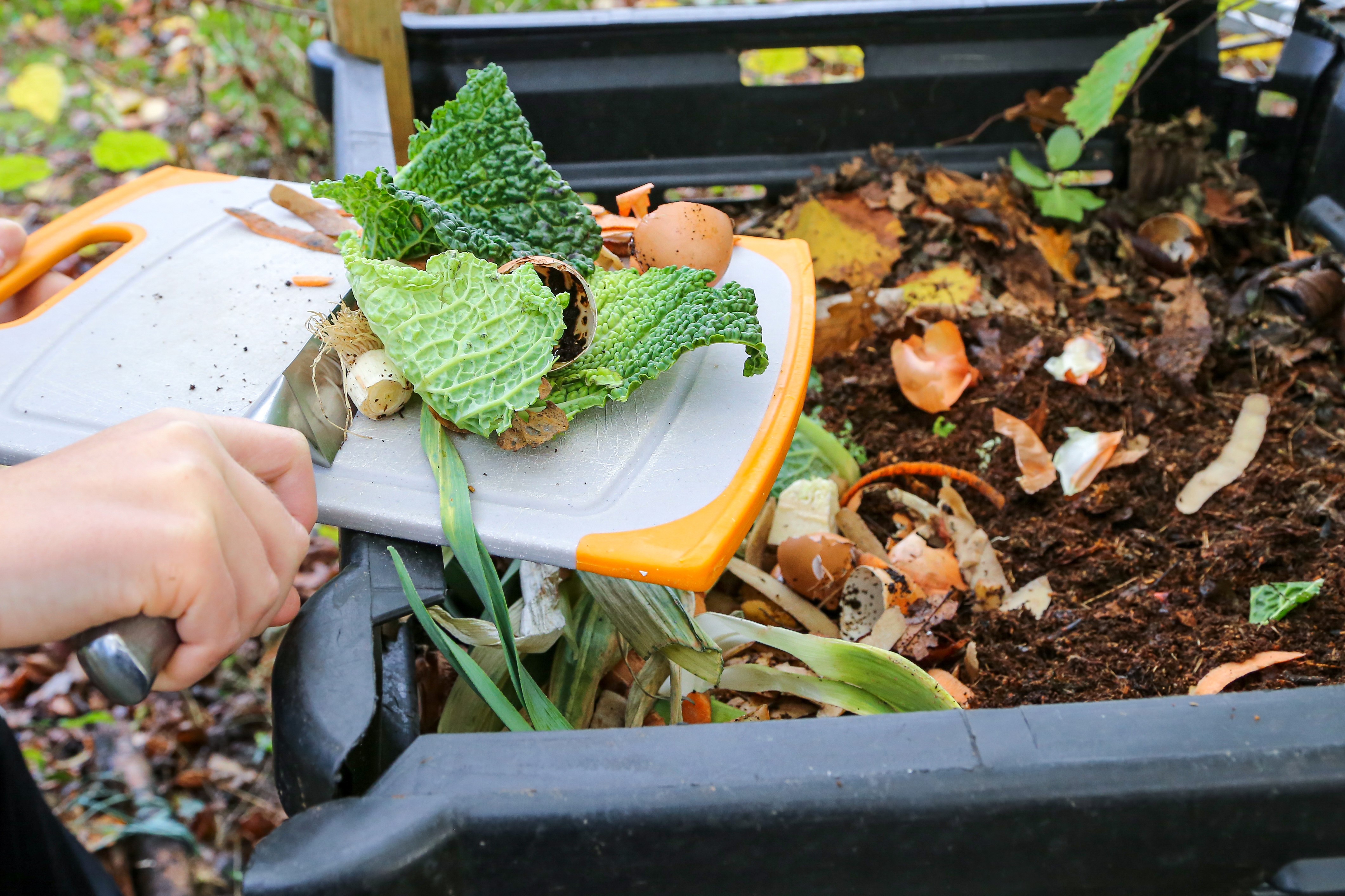 Filling Compost bin with food waste